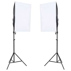 vidaXL Profesionalūs fotostudijos &scaron;viestuvai, 2vnt., 40x60cm