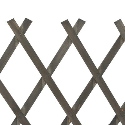 vidaXL Sodo treliažas-tvora, pilkos spalvos, 120x90cm, eglės masyvas