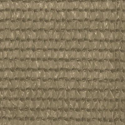 vidaXL Palapinės kilimėlis, taupe spalvos, 250x300cm
