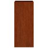 vidaXL Lovelis, 32x29x75cm, Corten plienas