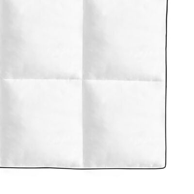 vidaXL Pūkinė antklodė, žieminė, 2 vnt.,140x200 cm