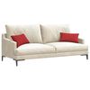 vidaXL Sofa Pagalvės 2 pcs Raudona 50 x 30 cm audinys