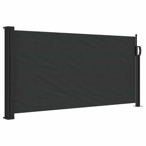 vidaXL I&scaron;traukiama &scaron;oninė markizė, juodos spalvos, 100x300cm