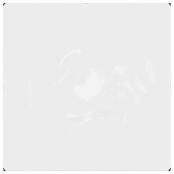 vidaXL Tent su kilpom Skaidrus 2 x 2 m Polietilenas