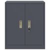 vidaXL Oppbevaringsskap su saugykla Antracitas 60 x 40 x 70 cm