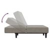 vidaXL Dvivietė sofa-lova su pakoja, &scaron;viesiai pilkos spalvos, aksomas