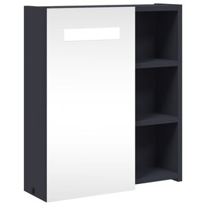 vidaXL Veidrodinė vonios kambario spintelė su LED, pilka, 45x13x52cm