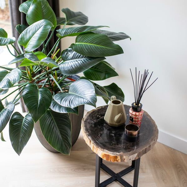 Capi Vazonas Groove, antracito spalvos, 34x46cm, elegantiškas