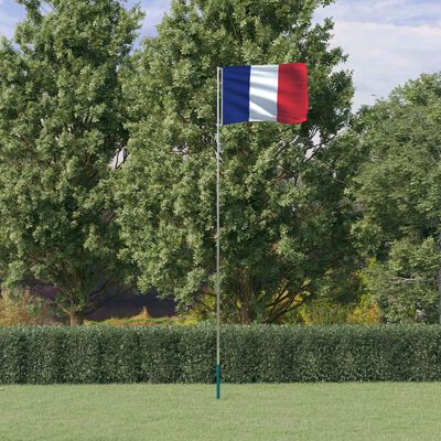 vidaXL Prancūzijos vėliava su stiebu, aliuminis, 5,55m