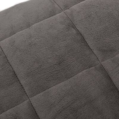 vidaXL Sunki antklodė, pilkos spalvos, 137x200cm, audinys, 6kg