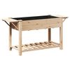 vidaXL Sodo vazonas Smėlio 155 x 59 x 76,5 cm Kietasis pu&scaron;inis medis