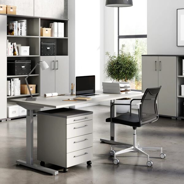 Germania Spintelė GW-Profi 2.0, &scaron;viesiai pilka/grafito, 42x49x61cm