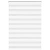 vidaXL zebrinės žaliuzės 95x150 cm audinio plotis 90,9 cm poliesteris