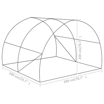 vidaXL Šiltnamis, 2x2x2m, 4m²