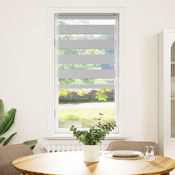 vidaXL zebrinės žaliuzės 55x100 cm audinio plotis 50,9 cm poliesteris