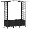 vidaXL Pakeltas lovas su trelėmis ir stogu Juoda 164 x 40 x 144 cm PP