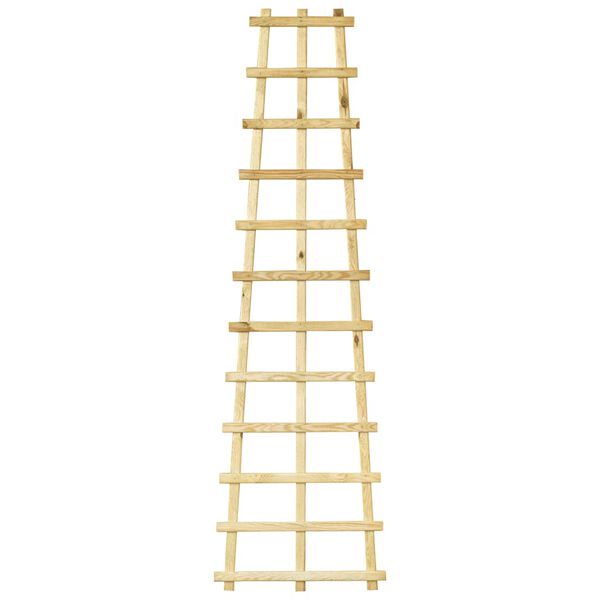 vidaXL Sodo treliažai, 6vnt., 50x170cm, impregnuota pu&scaron;ies mediena