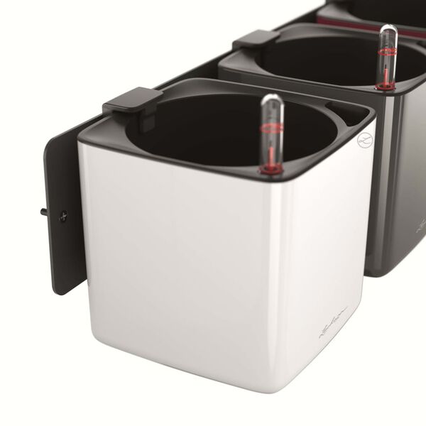 LECHUZA Vazonai Green Wall Home Kit, 3vnt., antracito spalvos, blizgūs