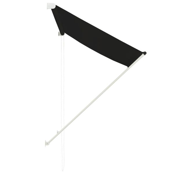 vidaXL Ištraukiama markizė, antracito spalvos, 100x150cm