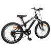 vidaXL Kids Mountain Bike 20 Colių 6-Speed 5-8 metų amžiaus Juoda