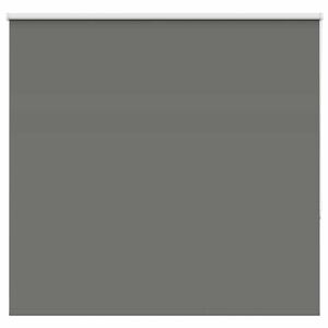 vidaXL roletas smėlio Pilka 165x150 cm audinio plotis 161,6 cm