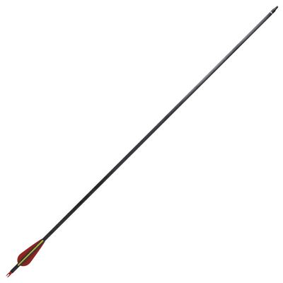 Standartinės lenkto lanko strėlės, 12vnt., anglis, 30", 0,76cm
