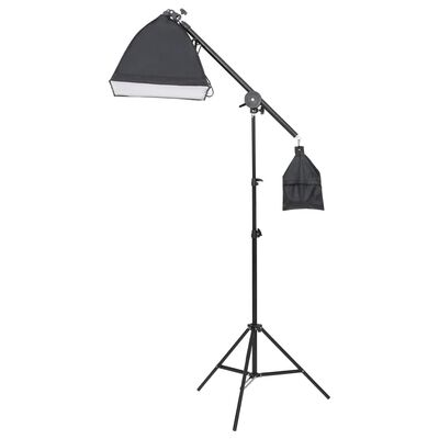vidaXL Fotostudijos rinkinys su šviestuvais, fonu ir reflektoriumi