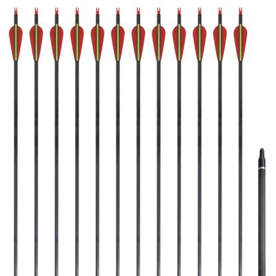 Standartinės lenkto lanko strėlės, 12vnt., anglis, 30", 0,76cm