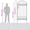 vidaXL Tvoros vartai Assen su arkine vir&scaron;umi, plienas, 102x200cm, juodi