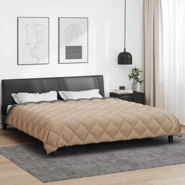 vidaXL Žiemos antklodė Antracito ir taupe 220 x 260 cm Mikropluo&scaron;tas