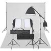 vidaXL Fotostudijos rinkinys su ap&scaron;vietimo rinkiniu ir fonu