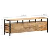 vidaXL Televizoriaus spintelė, 120x30x40cm, mango medienos masyvas