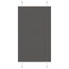 vidaXL Plisuota žaliuze juoda 70x150 cm audinio plotis 69,4 cm