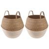 vidaXL Vazonas su rankenomis 2 vnt. Balta &Oslash; 32 x 32 cm 100% Jūros žolė