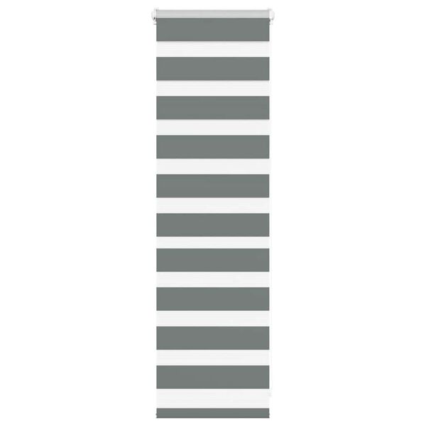 vidaXL zebrinės žaliuzės 45x100 cm audinio plotis 40,9 cm poliesteris