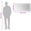 vidaXL Vonios kambario LED veidrodis, 100x50cm