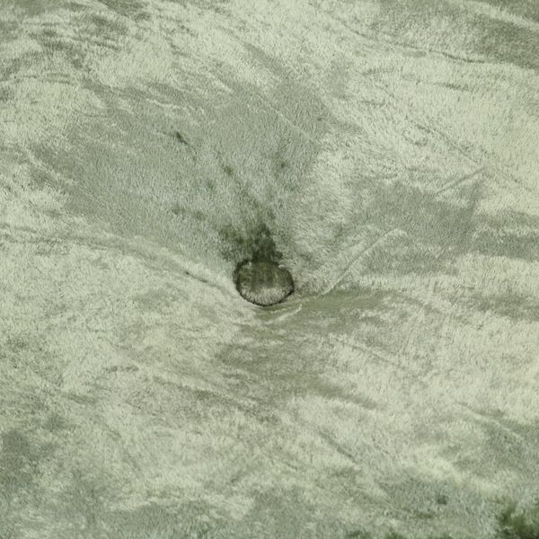 vidaXL Pufas, žalios spalvos, 40x20cm, aksomas, apskritas