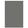 vidaXL roletas Pilka 105x150 cm audinio plotis 105x130 cm poliesteris