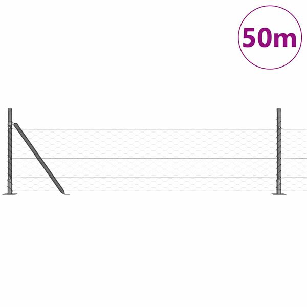 vidaXL Tvorelės stulpas Pilka 50 x 0,5 m (50 mm tinklas)