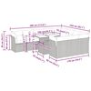 vidaXL Sodo komplektas su pagalvėlėmis, 11 dalių, poliratanas/akacija