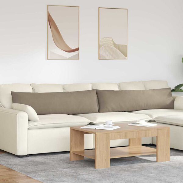 vidaXL Sofa Pagalvės 2 pcs Taupe 145 x 40 cm audinys