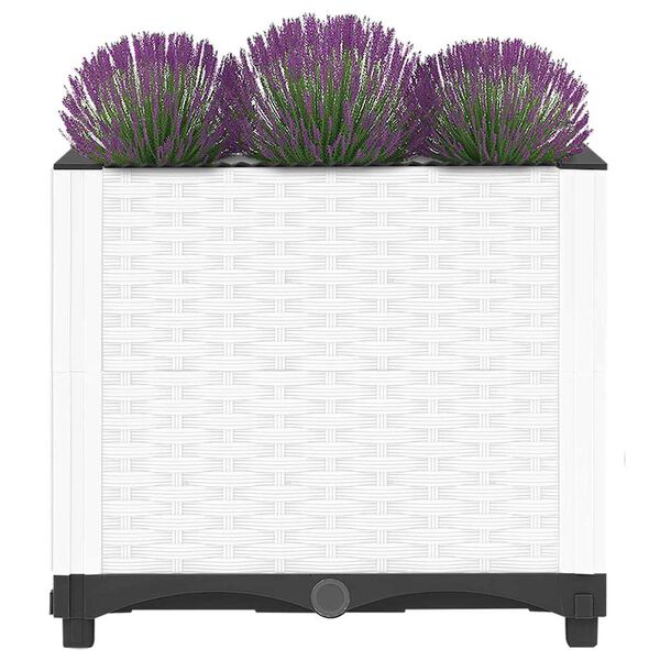 Rodomas prekėsprodukto vaizdas 3 i&scaron; 8