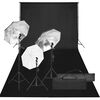 vidaXL Fotostudijos rinkinys su ap&scaron;vietimo rinkiniu ir fonu