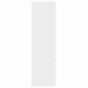 vidaXL Vaistų spintelė,  baltos spalvos, 40x41x144,5cm, mediena