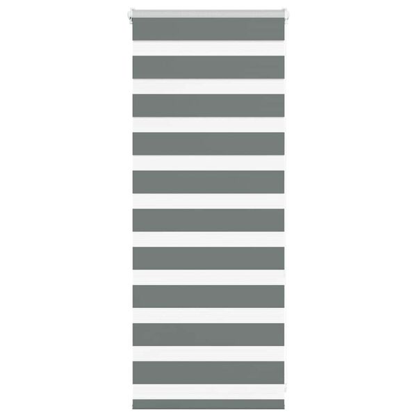 vidaXL zebrinės žaliuzės 65x100 cm audinio plotis 60,9 cm poliesteris