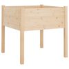 vidaXL Sodo lovelis, 70x70x70cm, pu&scaron;ies medienos masyvas