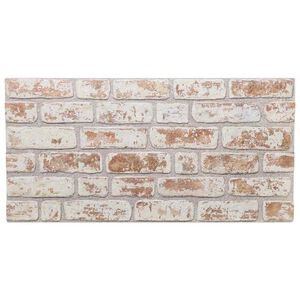 vidaXL 3D Sienų plok&scaron;tės, 10vnt., raudonos ir baltos, 100x50cm, EPS