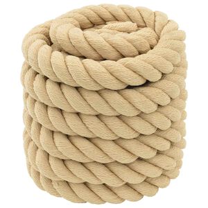 vidaXL Laivo virvė 6 mm 10 m Natūrali