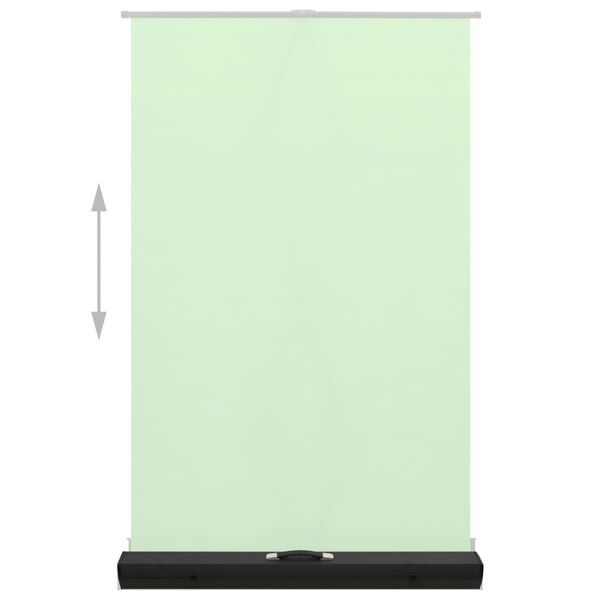 vidaXL Fotografinis fonas, žalios spalvos, 95", 4:3