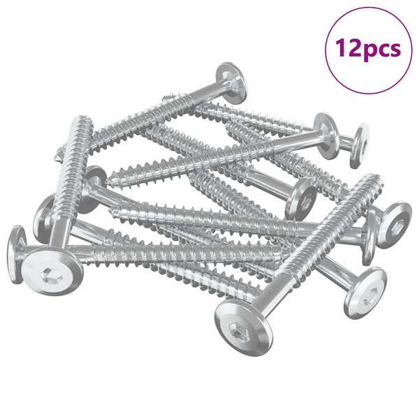 vidaXL Mediniai varžtai 12 pcs Sidabro M6 x 70 mm Plienas